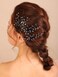 Kercisbeauty Wedding Bridal Black Crystal Hair Pins for Women and Girls Theme Party Hair Piece Set Handmade Dark Purple Hair Jewelry