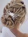 Latious Flower Bride Wedding Hair Comb Leaf Bridal Side Comb Sparkly Crystal Hair Piece Pearl Hair Accessorie for Women and Girls (Silver)
