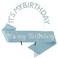 Birthday Crowns &amp; Sash for Women: Festive Headband and It's My Birthday Accessory Set