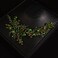 JWICOS Bride Wedding Hair Vine Pearl Bridal Hair Piece Crystal Wedding Hair Accessories Long Headband for Women and Girls (green)