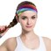 DIUEWOW Gay Pride Headbands Rainbow Women Headwraps Elastic Wide Head Band Supplies Workout for Party Pride Parade Sports Running Stretchy Twisted Hair Band 3 Pieces