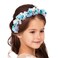 Campsis Girls Headpiece Flower Headbands Pearl Communion Hair Accessories Crystal Girls Birthday Photography Hair Band for Women and Girls(Blue)