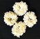 Pretty Charming Floral Multipurpose Hair Flower Rubber Bands with White Red Roses, Traditional Design with Latkans, Set of 12 Ideal for Marriage functions