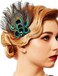 1920s Flapper Headband Peacock Feather Hair Clip Rhinestone Cocktail Hair Accessories for Women and Girls (Style 2)