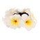 Hawaiian Hair Scrunchy for Women Floral Ponytail Hair Tie with Bow Tropical Hair Accessories for Beach Parties and Everyday Wear