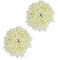 Mogra White Gajra Hair Accessories Gajra Rubber Band for Women (Pack of 2)(White)