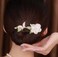 Ins Style Elegant Lazy Hair Curler, Crystal Hair Bun Maker, French Twist Hairstyle Bun Hair Accessories