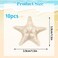 10 PCS Starfish Hair Clips Princess Alligator Hair Clips Cute Resin Beach Sea Star Hair Pins Mermaid Hair Clips Accessories for Women and Girls for Beach-themed Travel Party