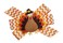 WD2U Girls 4.5" Chevron Pilgrim Tom Turkey Thanksgiving Hair Bow Alligator Clip