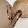 2 Pack Benefree French Style Cellulose Acetate Tortoise Shell U Shaped Hair Pins Fork 2 Prong Updo Chignon Pin for Women Girls Hairstyle Accessories（Tortoiseshell and White Tortoiseshell)
