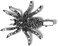 Xerling Gothic Spider Halloween Hair Clip for Women and Girls Black Gem Hair Piece Alligator Hair Clip Duckbill Barrette (Spider A)