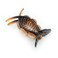 Sparkling Beautiful Hair Claw Clip for Women 1 PCS(D72)(Brown)