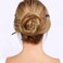 2 PACK Tortoise Shell Long Hair Sticks Bamboo Shape Hair Chopsticks Japanese Chinese Hairpin Decorative accessories for Women Girls Long Thick Hair Updo
