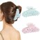 HAIMEIKANG 2Pcs Acrylic Flower Hair Claw Clips - Large Hair Clips for Women Jaw Clips for Thick Thin Hair Strong Hold Cute Non-slip Claw Clips Stylish Hair Accessories for Women Girls