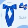 2Pcs Long Ribbon Hair Bows for Girls Hair Clip Silk Hair Bow Ribbon Hair Accessories for Baby Toddlers Infant Teens Kids (Blue)