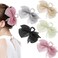 Mesh Tulle Hair Accessories - 5 Pcs Large Chiffon Bowknot Ponytail Claws and Hair Clips for Thick or Thin Hair