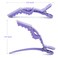 GLAMFIELDS 12 pcs Alligator Hair Clips for Styling Sectioning, Non-slip Grip Clips for Hair Cutting, Durable Women Professional Plastic Salon Hairclip with Wide Teeth &amp; Double-Hinged Design