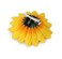 6Pcs 3.9 Lady Girls Sunflower Hair Alligator Clips Hairpin Hair Clamp Hair Styling Accessories for Party Beach Vacation Wedding Bridal Barrettes (Yellow)