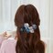 Hair Barrettes Clips For Women - 2Pcs Copper Wire Hand-woven High-level design Barrettes Elegant Hair Accessories, Barrettes for Women Thick Hair - Gifts for Women Girls（blue）
