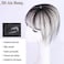 Clip in Bangs Synthetic Hair Air Bangs for Women Fake Bangs Wispy Bangs Fringe Hair Extensions Hairpieces Curved bangs for Daily Wear (Black Brown)