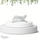 Parcelona French Curvy Oval Paw Clear 3&rdquo; Cellulose Acetate Side Slide In Scoop Jaw Hair Claw Clip Clutcher for Women and Girls (Clear)