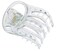 Parcelona French Curvy Oval Paw Clear 3&rdquo; Cellulose Acetate Side Slide In Scoop Jaw Hair Claw Clip Clutcher for Women and Girls (Clear)