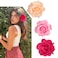 Tropical Hawaiian Hair Clips Set - 3Pcs Rose and Artificial Flower Clips for Women, Wedding, Summer Beach, Luau Party - 4 Inch