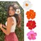 4Pcs Hawaiian Women's Hair Accessories - Artificial Hibiscus and Plumeria Flower Clips for Beach Party, Vacation Favors