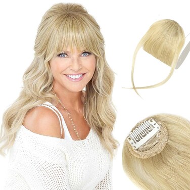 Clip in Bangs, Bangs Hair Clip Real Human Hair Fake Bangs Clip in Hair Extensions Wispy Bangs with Hairpieces for Women,Curved Air Bangs Clip on Bangs for Daily Wear(24#)