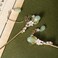 2 Pcs Retro Style Flower Metal Hair Stick Chinese Rhinestone Hair Chopsticks Pearl Tassel Hair Clips Accessories for Long Hair Women