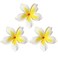 Vividsun Hawaiian Flower Hair Clips White Plumeria Flower Foam Hair Clip 3.7 Inch Artificial Flower Clip for Wedding Party Beach (White/3pcs)