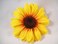 Sunflower Hair Clip 4.5 Inches