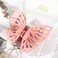 DIUEWOW Butterfly Thick Hair Clip, Hollow Matte Butterfly Hairpins Clips, Large Strong Hold Non-Slip Cute Hair Jaw Clips for Women - 2 Pack (Purple, Pink)