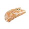 Ginger Cat Claw Clips,Cellulose Acetate Hair Clips,Big Claw Clips for Women