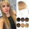 Clip In Bangs Human Hair Bangs Clip In Hair Extension, 100% Human Hair Bangs For Women Air Bangs Fringe With Temples Faux Bangs Hair Clips On Wispy Bangs For Daily Wear (Wispy Bangs, Blonde)
