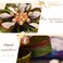 Yokawe Flower Hair Barrettes Bridal Wedding Hair Clips Blue Green Crystal Hair Piece Floral Prom Hair Accessories for Women (A)