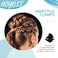 Hoyols 48 Pcs Black Mini Hair Claw Clips, Non-Slip Jaw Clamps for Women Girls, Secure Hold for Fine Short Medium Thick Hair, Styling Accessories in Plastic Box Bulk