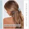 AWAYTR Small Claw Clips for Thin Hair, 1.6 " Matte Cute Hair Clips for Women, Double Row Teeth Jaw Clips for Hair, 12 Pcs Hair Clamps for Girls
