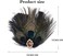 Edary Peacock Feather Hair Clip 1920s Flapper Headband Black Feather Headpiece Prom Party Head Accessories for Women
