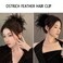 Black Feather Hair Clip, Nonslip Ostrich Fluffy Fur Hair Claw Ponytail Shark Clip for Women Carnival Birthday Party Daily Hair Halloween Accessories Hairpin Headwear