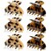 WILLBOND 6 Pieces Medium Hair Claw Clips for Thin Hair 2.6 Inch Tortoise Shell Clip Banana Jaw Hairpin French Style Barrettes Head Accessories for Women Girls(Vivid Patterns)