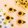 Whaline 4Pcs Sunflower Hair Alligator Clips Cute Hair Accessories Yellow Flower Hair Barrettes Hairpin Accessories for Toddlers Girls Spring Summer Wedding Birthday Decor, 2 Designs