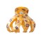 Octopus Hair Clip,Cellulose Acetate Hair Clips,Big Claw Clips for Women,Hair Accessories