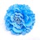 Hair Flower Clips Brooch Boutique Hair Accessories Bohemia Hairpins for Women Girls (Lake Blue)