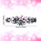 Janinka 4 Pcs Barrettes for Women Ladies, Rhinestones Hair Accessories Crystal Barrette Spring French Hair Clips for Women Wedding Hair Styling Tools