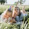 30 Pcs Bean Sprout Hair Clips Mixed Style Plant Hairpins Flower Plant Hair Clip Little Grass Barrette Butterfly Headwear Hair Accessories for Women Girl School Home Party Christmas