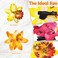 Jexine 18 Pcs Flower Hair Clip for Women Hawaiian Artificial Hibiscus Flower Hair Pins Big Double Chiffon Tropical Flower Hair Summer Accessories for Bridal Wedding Accessory Hair Clip Hair Barrette