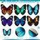 Jutom 6 Pcs Colorful Hair Barrettes with Butterfly Faux Leather Clips, Wood Stick, for Women and Girls, Hair Accessories