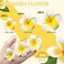 Crowye 100 Pcs Hawaiian Plumeria Flower Clips 1.6 Inch, 2 Inch, 2.4 Inch Artificial White Foam Floral Hat Clips Hawaii Frangipani Tropical Hair Accessories for Women Luau Beach Wedding Party