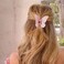 2.7" Butterfly Clips for Thick or Thin Hair - 5Pcs Strong Hold Hair Accessories with Claw Clamps